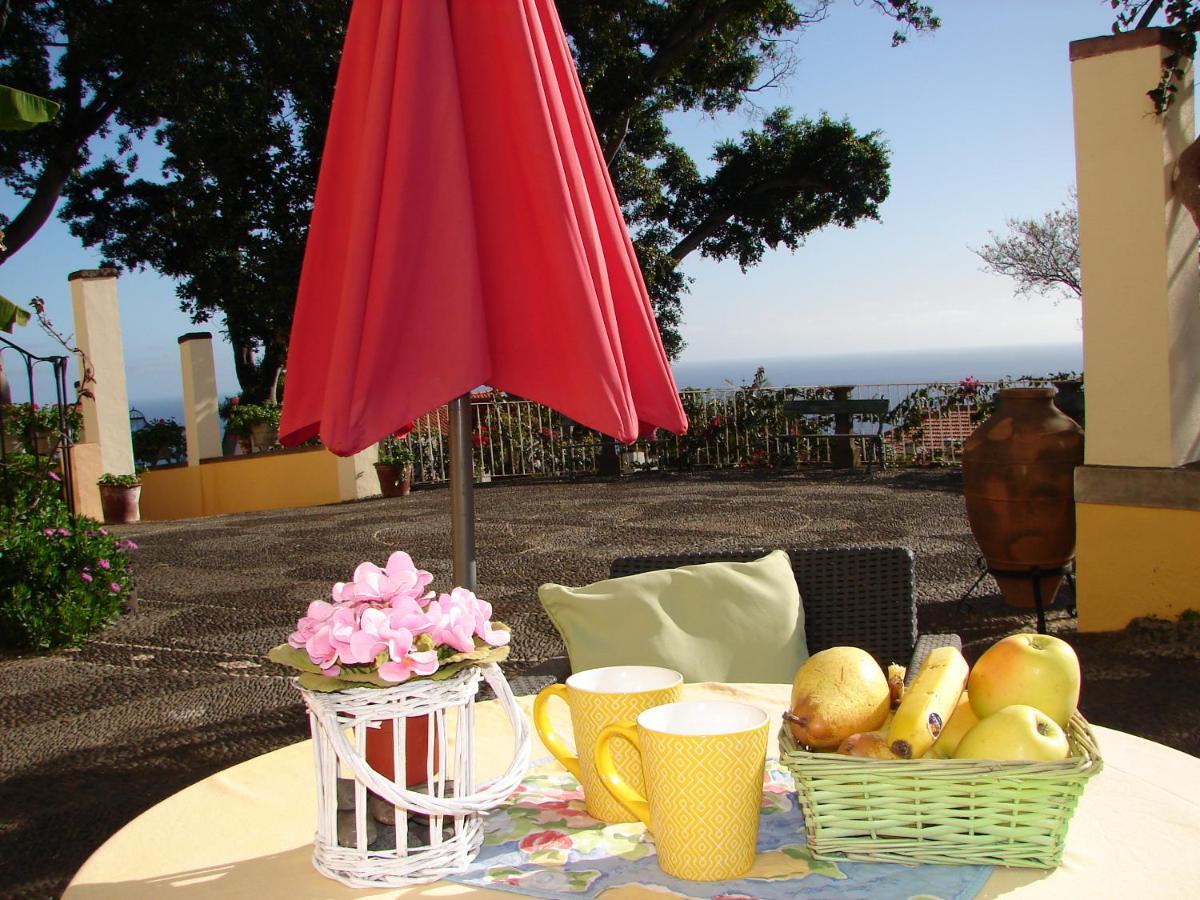 Purple Studio Funchal (Madeira) Exterior foto